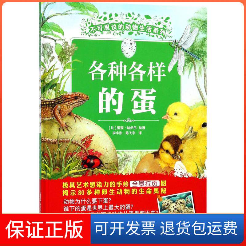 【保正版】各种各样的蛋(比)蕾妮·哈伊尔 绘著;李小彤,陈飞宇 译 著新疆青少年出版社9787559027436