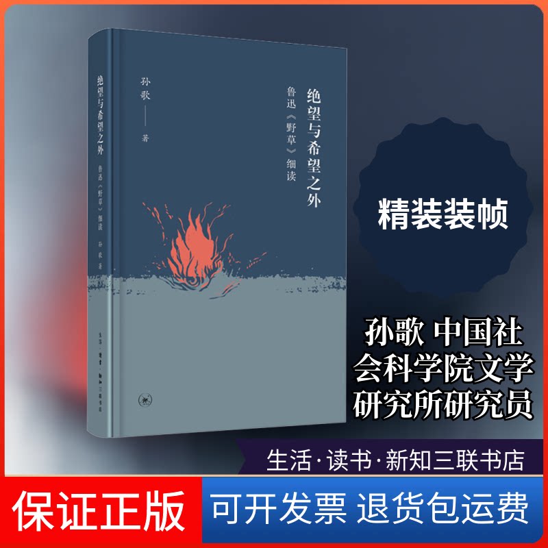 【保正版】绝望与希望之外 鲁迅《野草》细读孙歌 著生活·读书·新知三联书店9787108067180