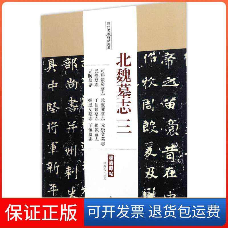 【保正版】司马显姿墓志.元灵曜墓志.元崇业墓志.元纂墓志.于仙姬墓志.杨乾墓志.元昉墓志.张黑女墓志.王偃墓志陈钝之 主编