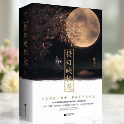 提灯映桃花上下两册淮上著
