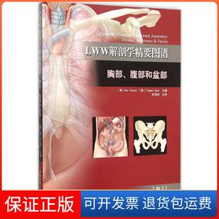 腹部和盆部潘斯基北京科学技术出版 LWW解剖学精要图谱：胸部 社9787530480960 保正版
