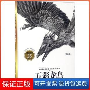 【保正版】五彩龙鸟沈石溪 著,童趣出版有限公司 编人民邮电出版社9787115455482