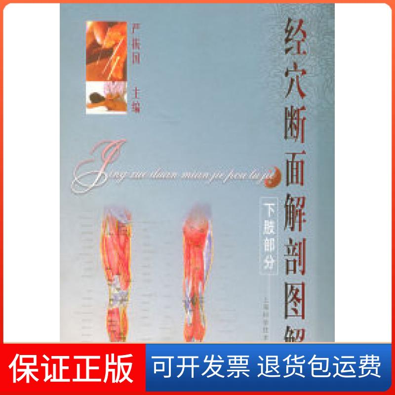 【保正版】经穴断面解剖图解下肢部分严振国上海科学技术出版社9787532367252