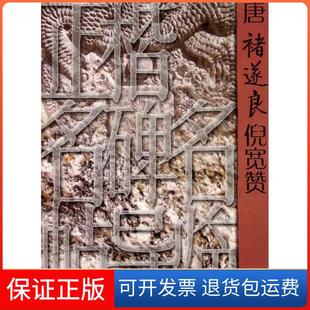 【保正版】唐褚遂良倪宽赞张树新山东美术出版社9787533034948