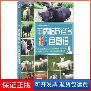 【保正版】羊病临床诊治彩色图谱谷风柱,沈志强,王玉茂 主编 著机械工业出版社9787111538387
