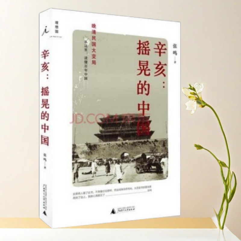 正版书】辛亥 摇晃的中国 张鸣 著 广西师范大学出版社