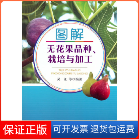 【保正版】图解无花果品种、栽培与加工吴江 等中国农业出版社9787109303911