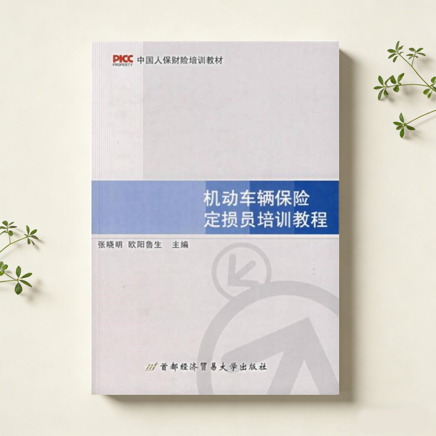 【正版九成新】中国人保财险培训教材机动车辆保险定损员培训教程 张晓明编 欧阳鲁生编 首都经济贸易大学出版社