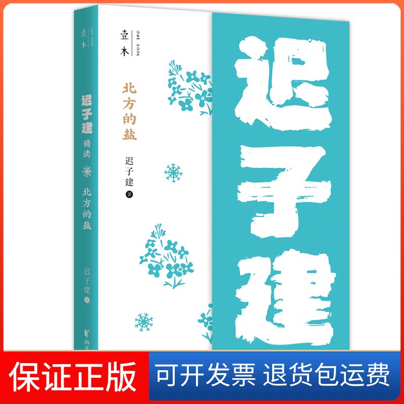 【保正版】北方的盐：迟子建精读（壹本系列）/迟子建迟子建浙江文艺出版社9787533964115