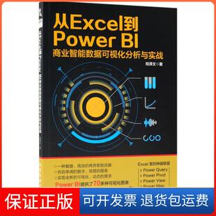 【保正版】从Excel到PowerBI商业智能数据可视化分析与实战祝泽文中国铁道出版社9787113244538