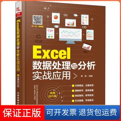 【保正版】Excel数据处理与分析实战应用杨群中国铁道出版社
