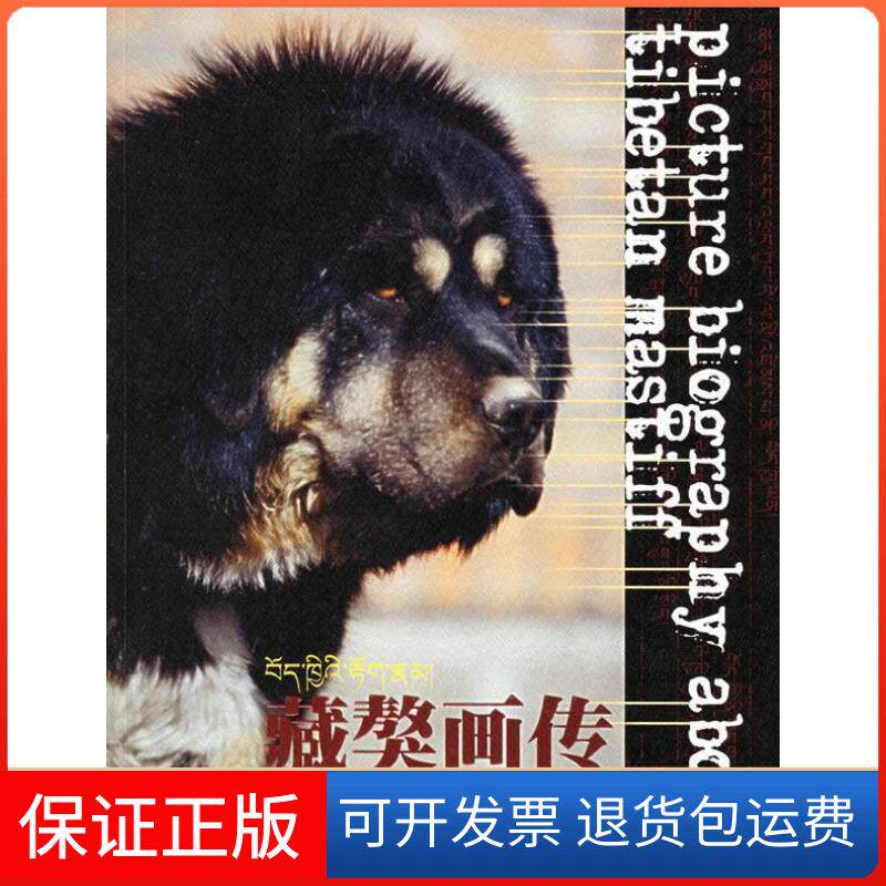 【保正版】藏獒画传倪正敦煌文艺出版社9787805877679