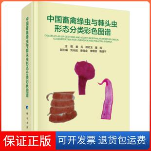中国畜禽绦虫与棘头虫形态分类彩色图谱黄兵韩红玉董辉科学出版 新书 社 正版