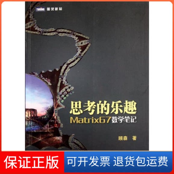 【保正版】思考的乐趣:Matrix67数学笔记顾森 著人民邮电出版社9787115275868