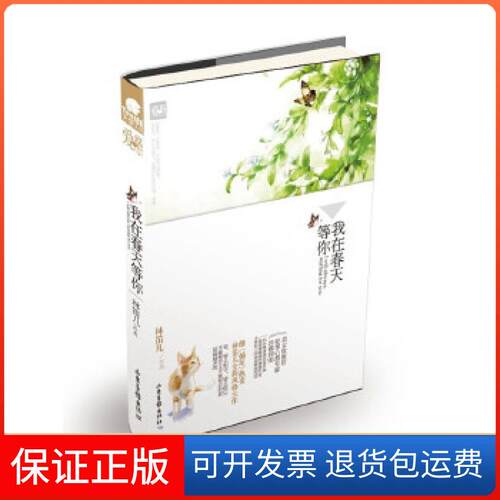【保正版】天使文化--我在春天等你（继《摘星》热卖，林笛儿全新风格大作！）林笛儿　著山东画报出版社9787547409220