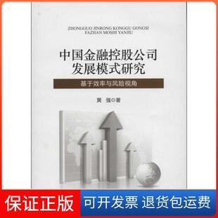 研究：基于效率与风险视角黄强中国金融出版 中国金融控股公司发展模式 社9787504969040 保正版