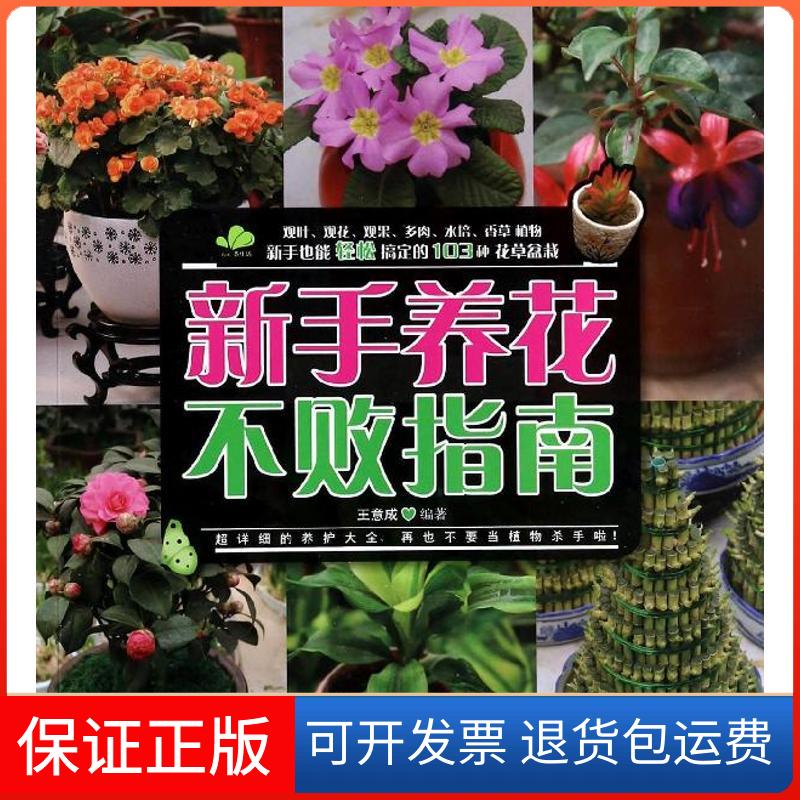 【保正版】新手养花不败指南王意成中国水利水电出版社9787517015604