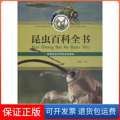 【保正版】昆虫百科全书梁剑丽 主编北京工艺美术出版社9787514013382