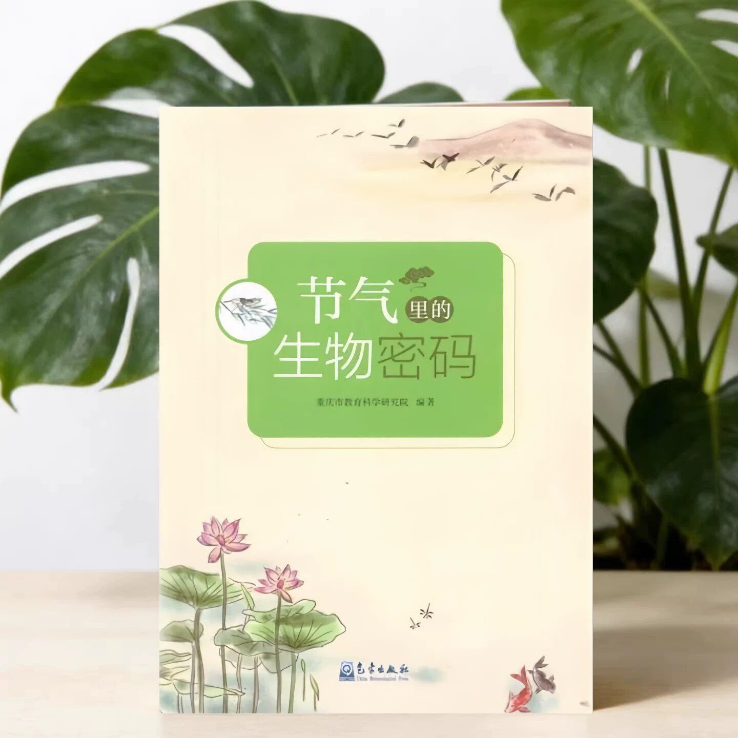 节气里的生物密码气象出版社