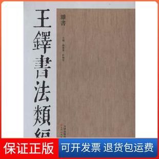 【保正版】王铎书法类编·杂书杨惠东天津人民美术出版社9787530546857