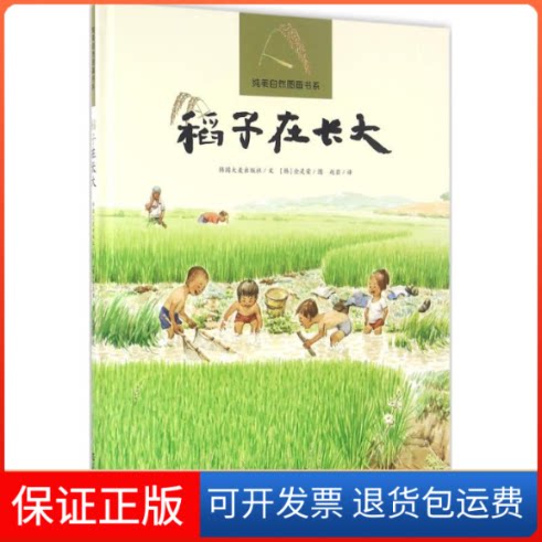 【保正版】稻子在长大韩国大麦出版社 文;(韩)金是荣 图;赵岩 译 著作海燕出版社9787535060327