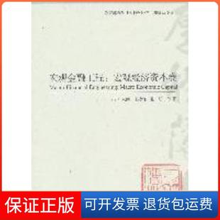 宏觀金融工程宏觀經濟資本卷葉永剛高等教育出版 社 保正版