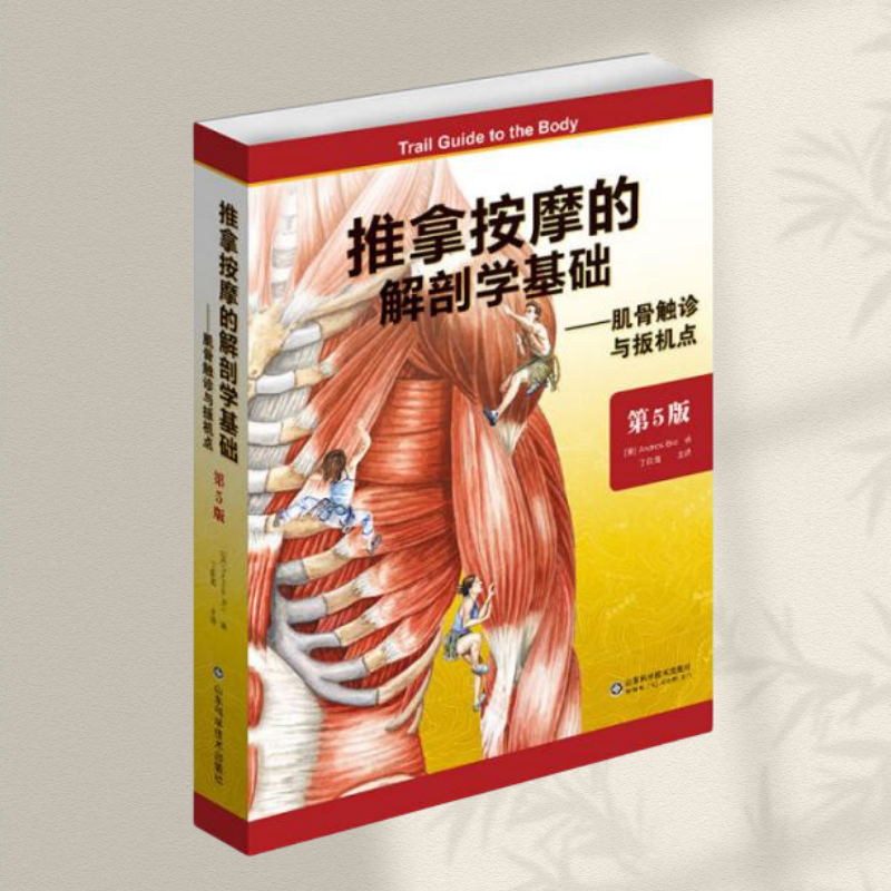【保证正版】推拿按摩的解剖学基础 肌骨触诊与扳机点第5版 安德鲁比尔著 山东科学技术出版社