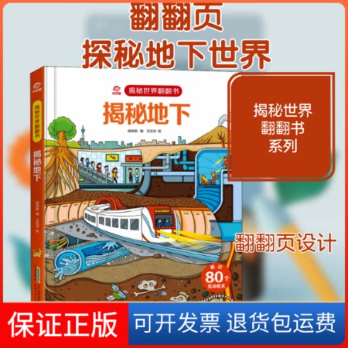 【保正版】揭秘地下庞丽碧 编 王亚灵 绘安徽科学技术出版社9787533783266