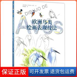 社 欧洲绘画技法丛书欧洲鸟类绘画表现技法胡安巴雷拉西莫振张金辉校浙江人民美术出版 保正版