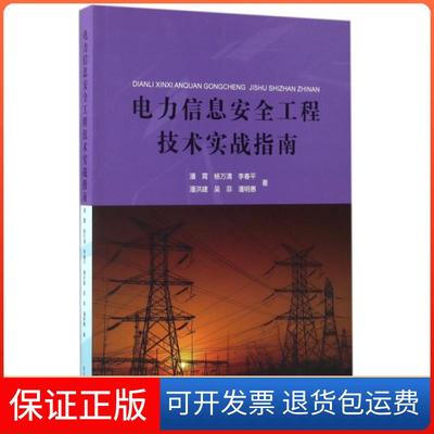 【保正版】电力信息安全工程技术实战指南潘霄杨万清李春平潘洪建吴菲东北大学出版社