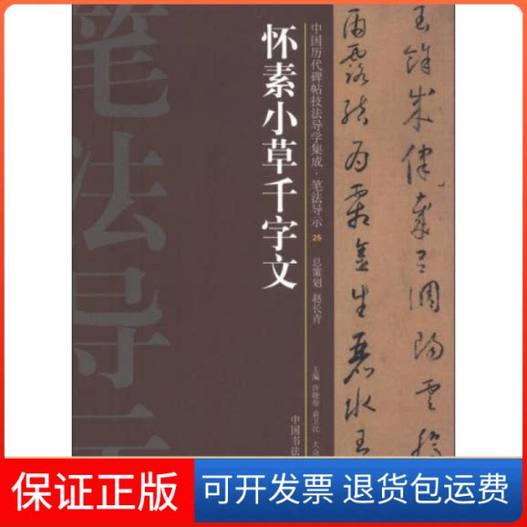【保正版】怀素小草千字文-中国历代碑帖技法导学集成.笔法导示-25许晓俊大众文艺出版社9787517200321