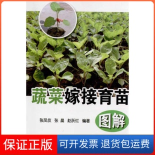 赵跃红金盾出版 张晨 蔬菜嫁接育苗图解张凤仪 社9787508263052 保正版