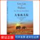 社9787567556898 肯尼亚 保正版 Sheldrick 大象孤儿院 Daphne 译华东师范大学出版 达芙妮·谢尔德里克 著；刘颖