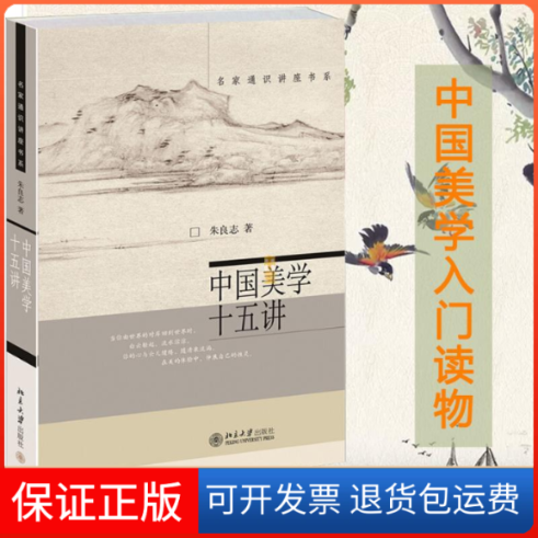 【保正版】中国美学十五讲朱良志 著北京大学出版社9787301105863