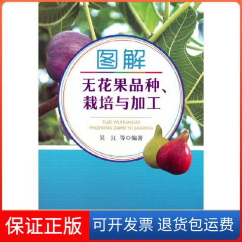 【保正版】图解无花果品种、栽培与加工吴江 等中国农业出版社9787109303911