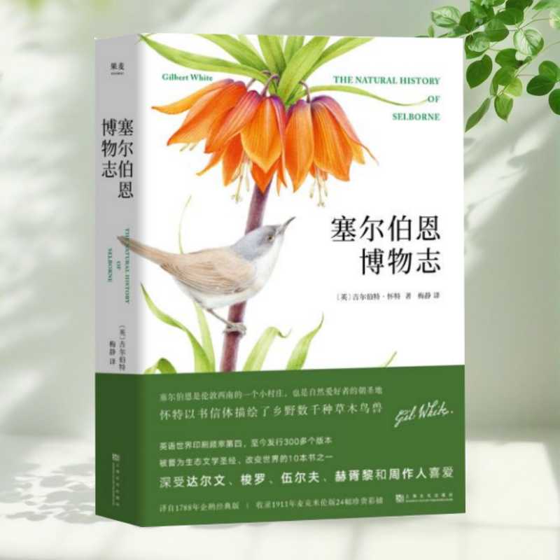 【保正版】塞尔伯恩博物志精装 吉尔伯特怀特 梅静 上海文化出版社
