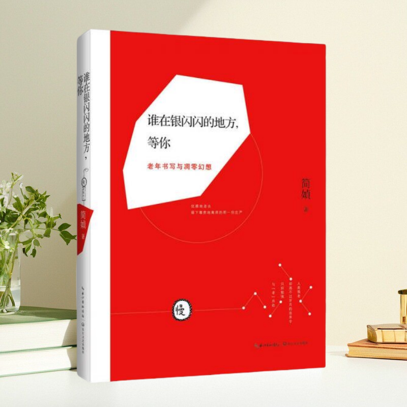 谁在银闪闪的地方等你简媜著