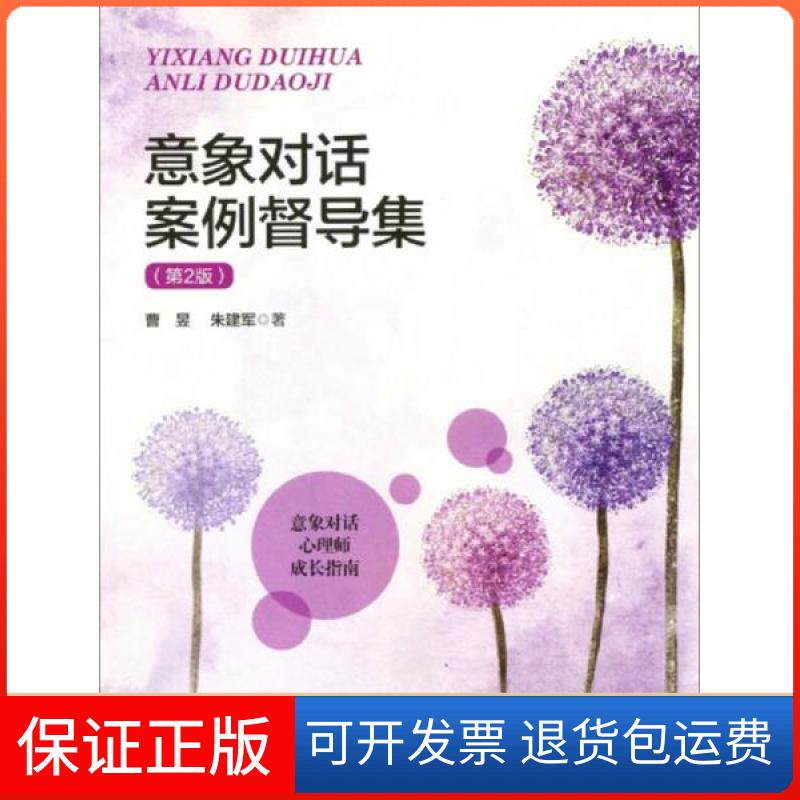 【保正版】意象对话案例督导集第2版曹昱、朱建军 著北京师范大学出版社9787303226948