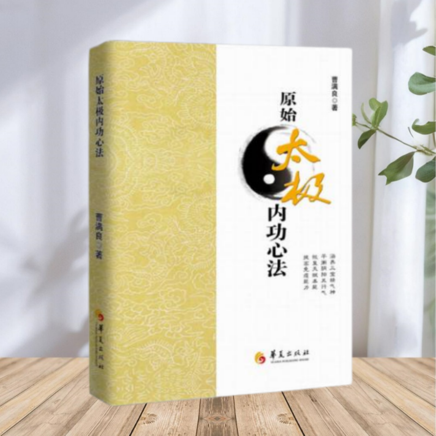 原始太极内功心法曹满良著