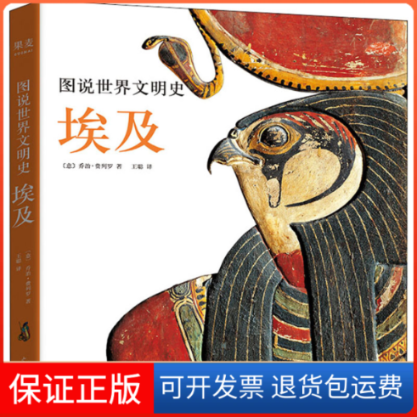 【保正版】图说世界文明史 埃及(意)乔治·费列罗 著 王聪 译山东画报出版社9787547434376