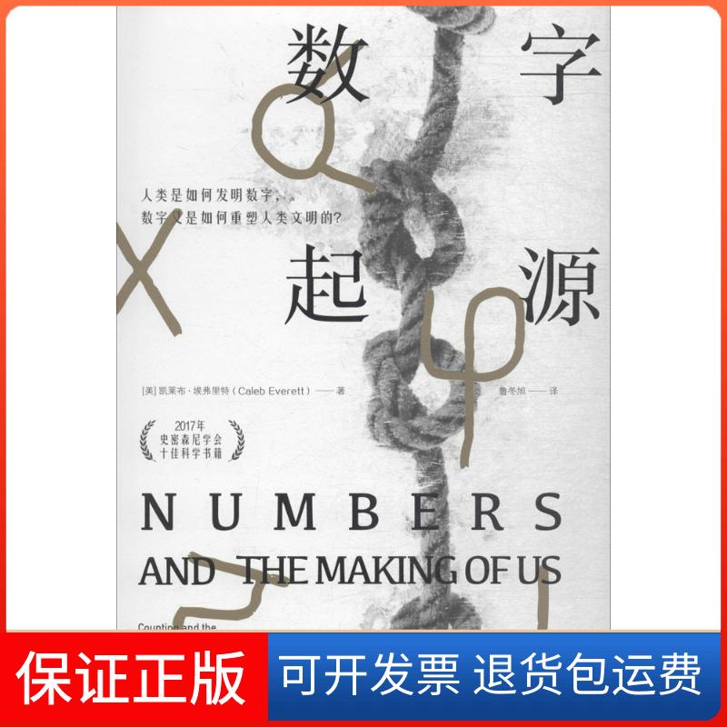 【正版】数字起源凯莱布·埃弗里特中信出版社9787508687704