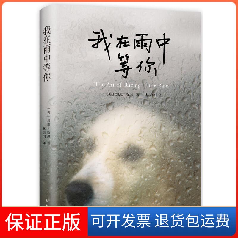 【保正版】我在雨中等你(美)加思·斯坦(Garth Stein)南海出版公司9787544272681