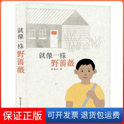 【保正版】就像一株野蔷薇胡继风江苏凤凰少年儿童出版社
