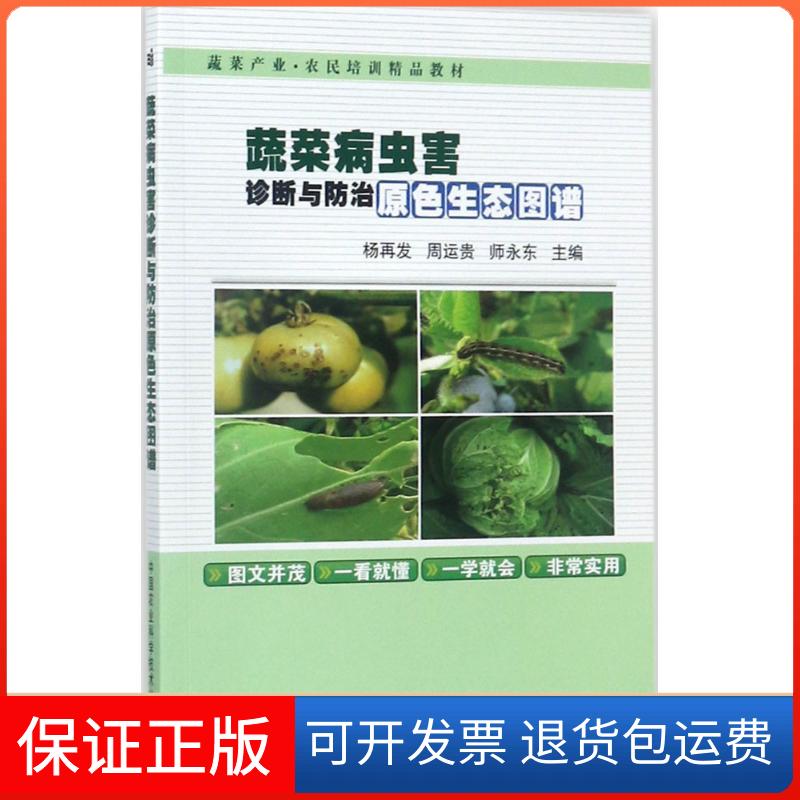 【保正版】蔬菜病虫害诊断与防治原色生态图谱杨再发,周运贵,师永东 主编中国农业科学技术出版社9787511631541
