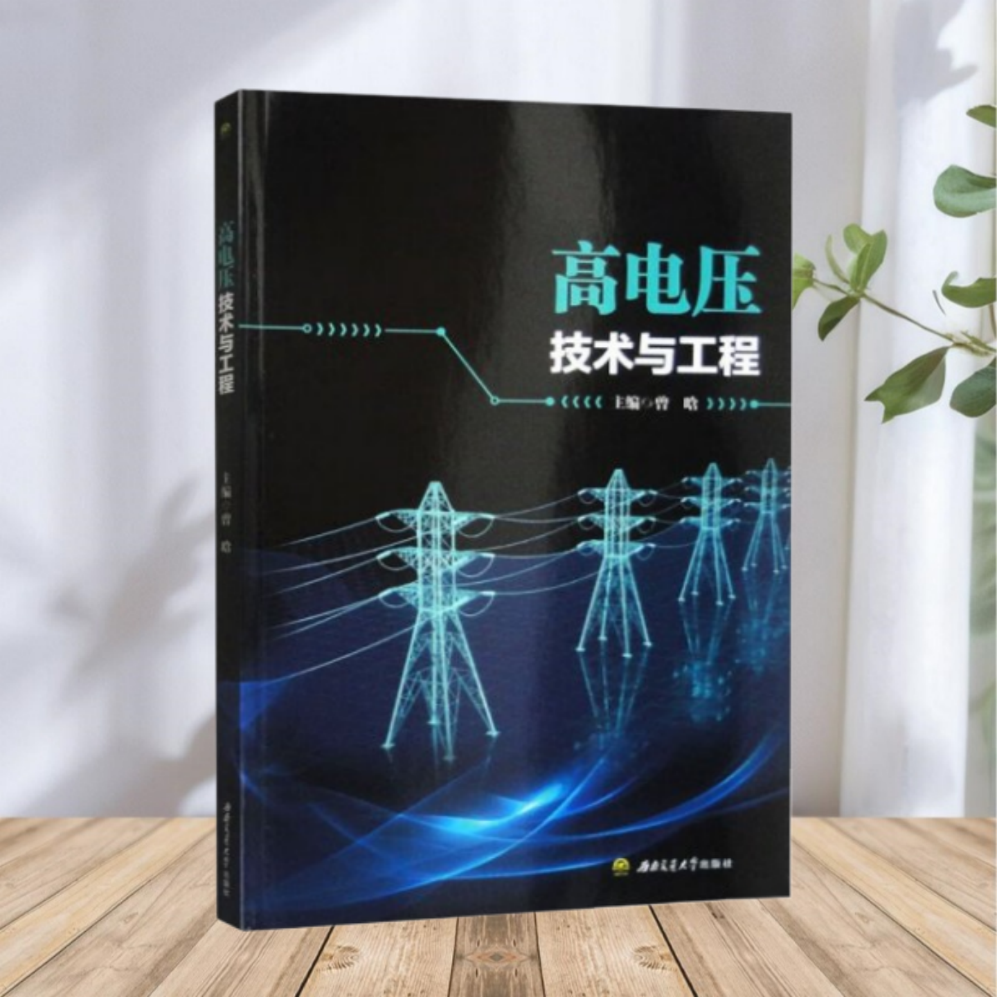 高电压技术与工程曾晗