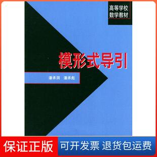 导引潘承洞北京大学出版 模形式 社9787301055168 保正版