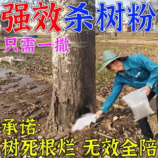 大树烂根药灭树粉强力除树粉田边路边树根烂根枯树王除根腐蚀药y