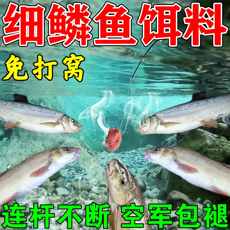 细鳞鱼专用饵料第一名强力诱鱼粉不空军爆护浓腥香野钓窝料路亚饵图片