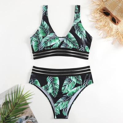 swimsuit webbing Fashionable women for swimsuit two-piece