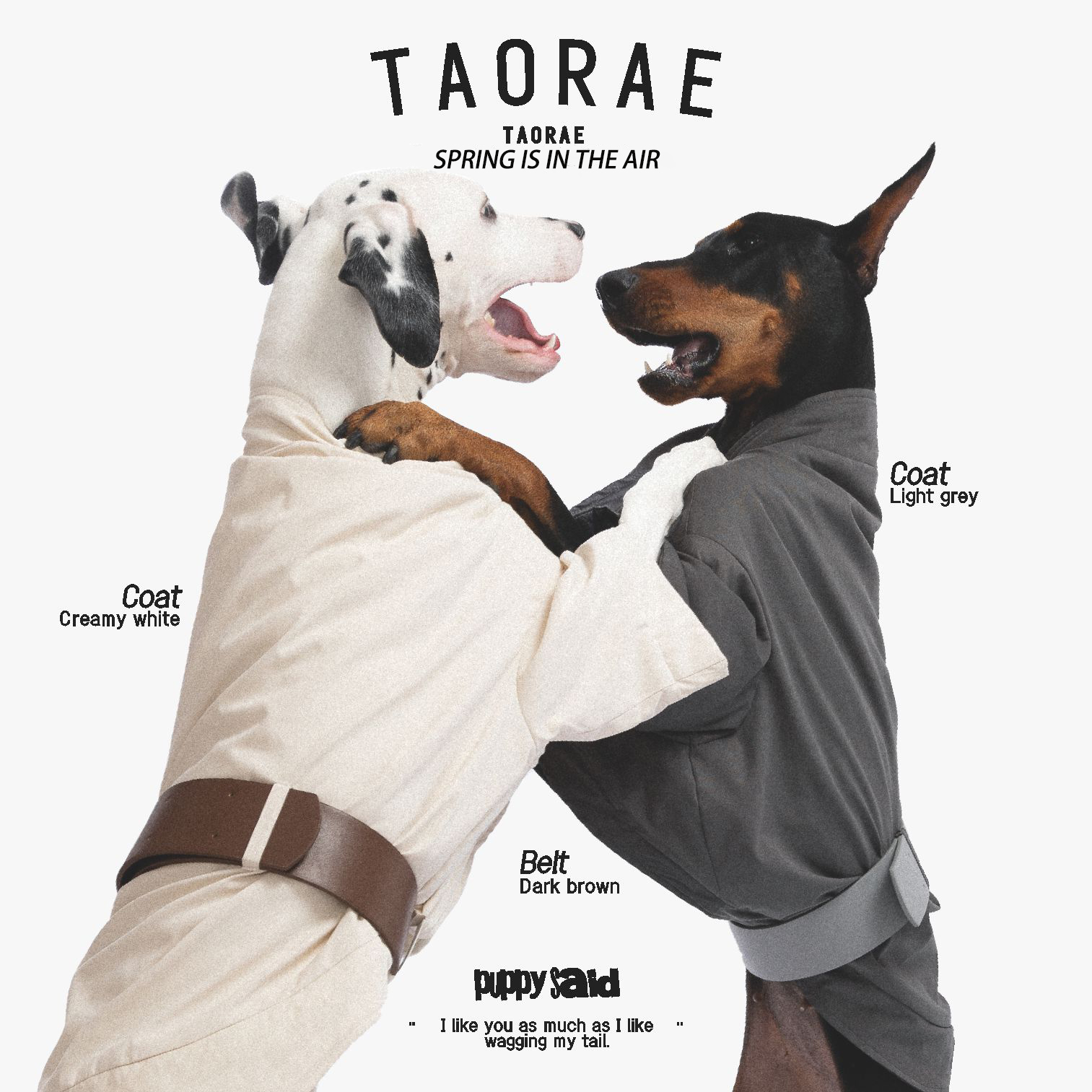 TAORAE狗衣服中大型犬衣服风衣保暖灵缇惠比特杜宾威玛大麦町金毛